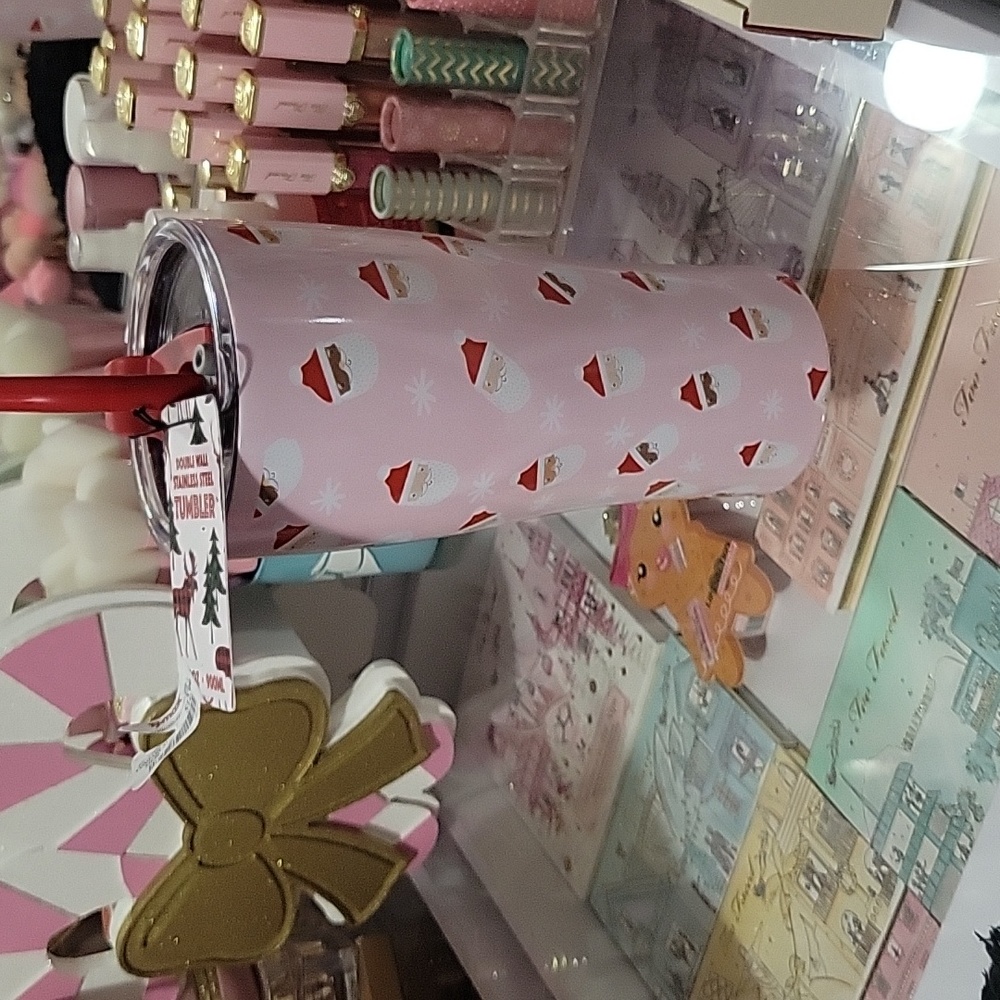 Double Wall Stainless Steel Santa Tumbler